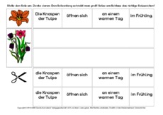 Tulpe-Sätze-umstellen-3-B.pdf
